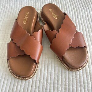 Seychelles Sandals Womens 6.5 Brown Leather Scallop Slide Flat Comfort Shoe